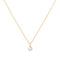 Gold Shell Pearl Drop Pendant Necklace